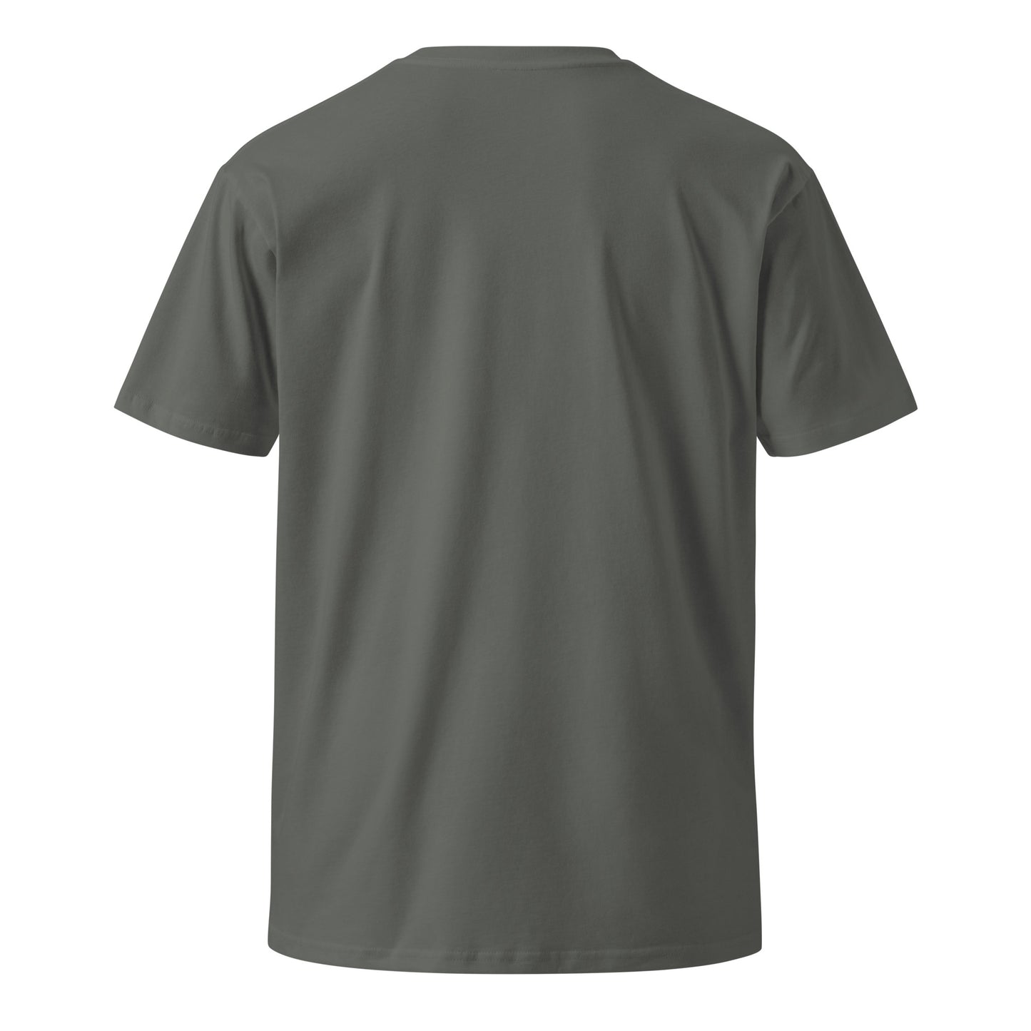 IAGTFYS Unisex premium t-shirt